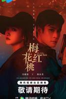 《梅花红桃》电视剧全集免费在线观看完整版