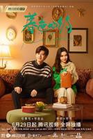 《暮色心约》电视剧免费在线观看高清完整版