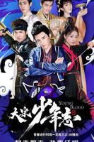 《大宋少年志》电视剧全集免费在线观看高清完整版